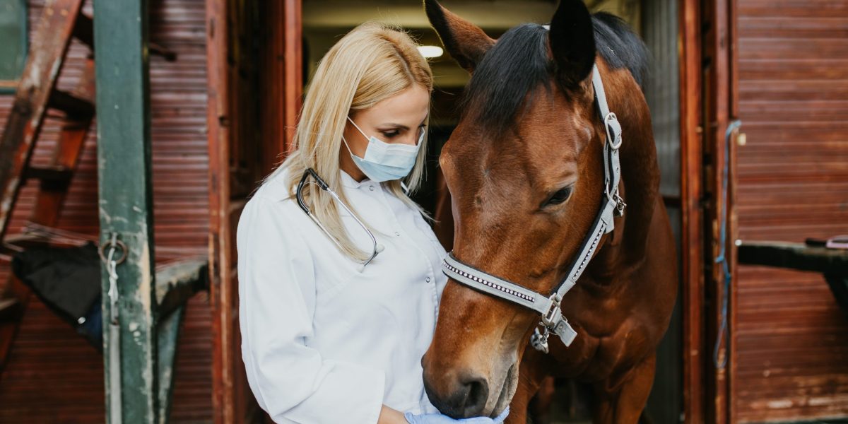 See a 56-year-old vet who has stepped away from the best salary of her career as corporate ownership has driven her into a non-profit world