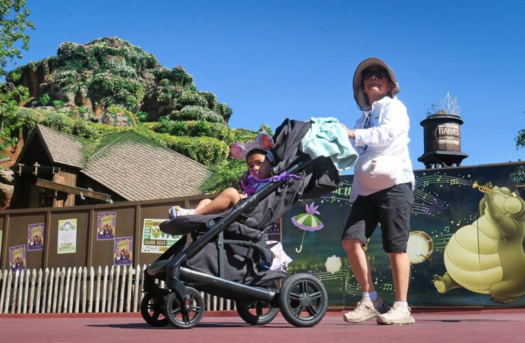 Walt Disney World is about to visit the park during the summer